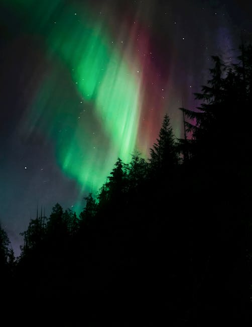 A nighttime scene showing the Northern Lights illuminated in vibrant green and red hues across the dark sky. Silhouetted against the aurora borealis are tall, dense pine trees situated on a sloped landscape, with their pointed tops subtly visible in the foreground. The sky is dotted with a few stars, and the aurora displays a dynamic, flowing appearance, creating a striking natural light display. The image captures the contrast between the bright, colorful aurora and the dark silhouette of the forest, emphasizing the natural beauty of the northern sky phenomenon.